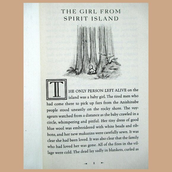 Book: The Birchbark House (Juv Fiction) written & illustrated by Louise Erdrich - Picture 3 of 16